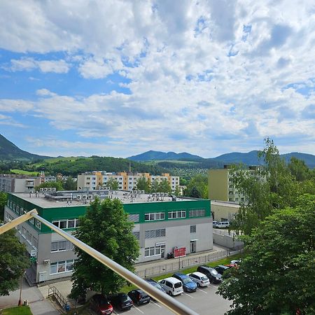 Wolf Apartman Pokojne Ubytovanie V Povazskej Bystrici Ticha Lokalita S Parkovanim Vsade Blizko Vhodne Pre Pracovne Cesty Turistiku Aj Oddych Plne Vybavena Kuchyna Považská Bystrica Exterior foto